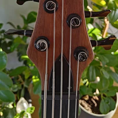 Woodo B5 Walnut 2010-2015 - Natural Satin image 4