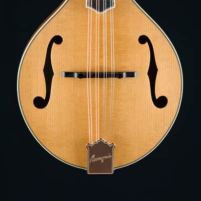 Bourgeois M5A Mandolin Full Aged Tone Adirondack Spruce and European Flamed Maple NEW image 4