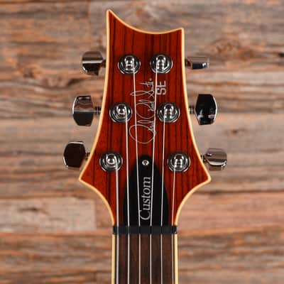 PRS SE Custom 24 Zebrawood Brown 2018 image 6