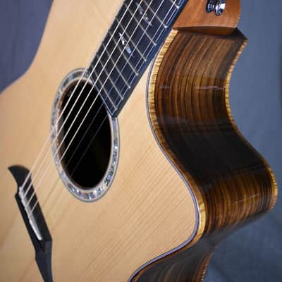 2010 Breedlove Special Edition Focus D image 18