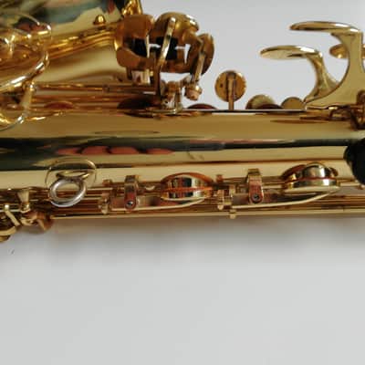 Yanagisawa Alto saxophone 1986 Gold image 20