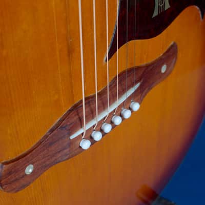 Harmony H167 / 1969 / Relive that Endless Summer image 6