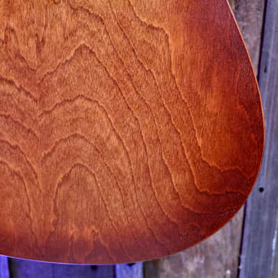 Seagull Entourage Dreadnought - Autumn Burst image 19