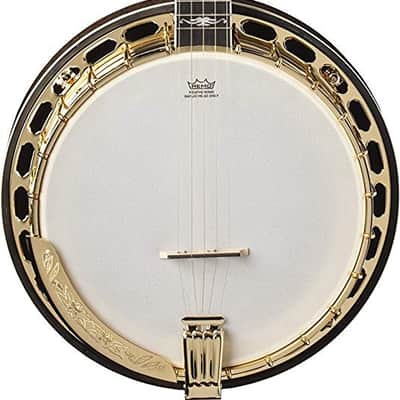 Washburn Americana Series B17K-D 5 String Banjo Sunburst image 1