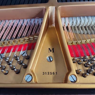 Rare Steinway & Sons Model M Baby Grand Piano image 5