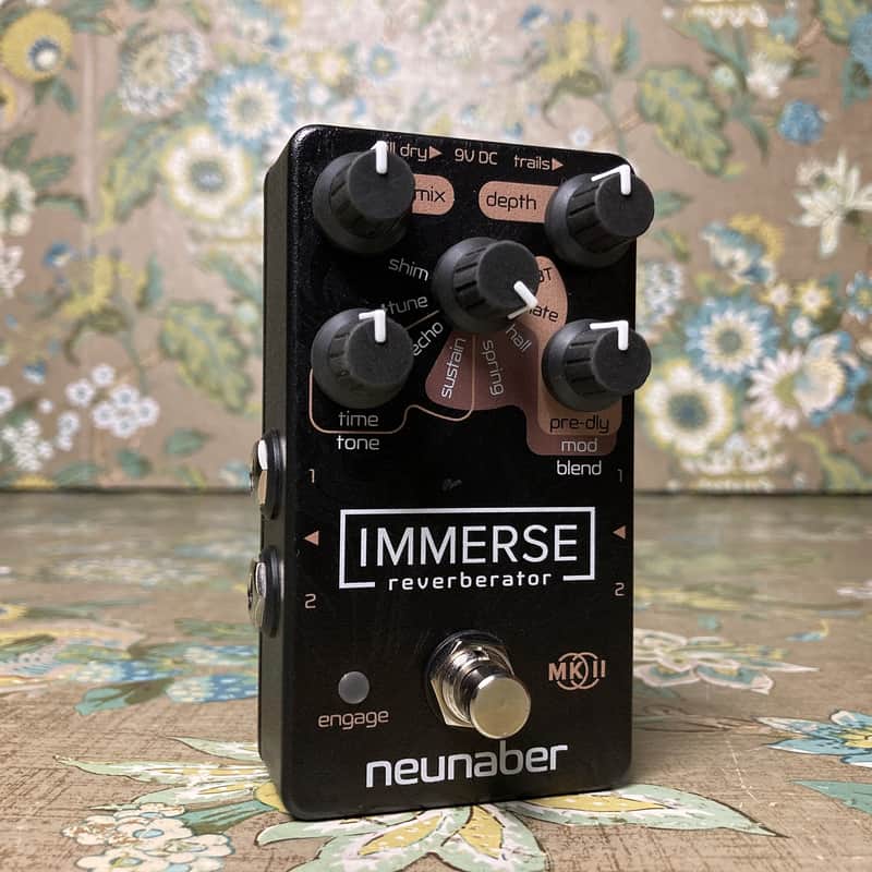 Neunaber Immerse Mk II Reverb image 1