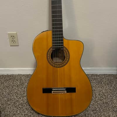 Takamine EC132c 1980’s image 1