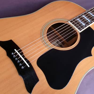 Morris MG-60 1977 Natural - Made in Japan - Solid Spruce Top image 24