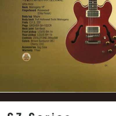 History ZMS-CFS - FGN Fujigen ES-339 style semi-hollow image 16