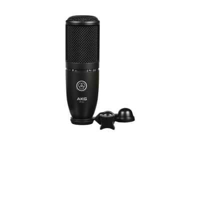 AKG P120 Perception 120 General-Purpose 2/3" Diaphragm Condenser Microphone mic //ARMENS// image 2