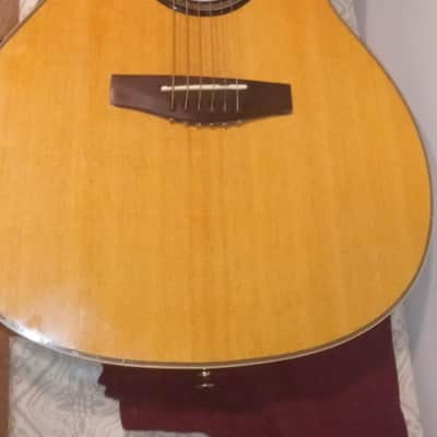 Carlo Robelli Acoustic Electric #CRF550TBX Recent 2020-2023 - Very Nice image 3