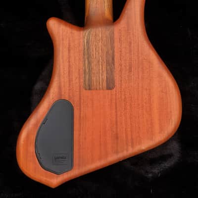 Warwick Dolphin SN TCS 5 String 2002 image 6