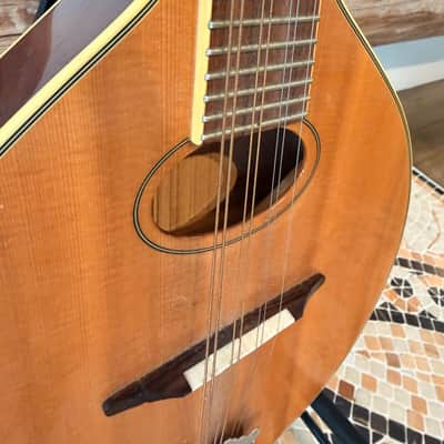 Trinity College TM-250 Celtic Mandolin – All-Solid Woods, One-Owner "Closet Classic" with Mint Original Hardshell Case image 7