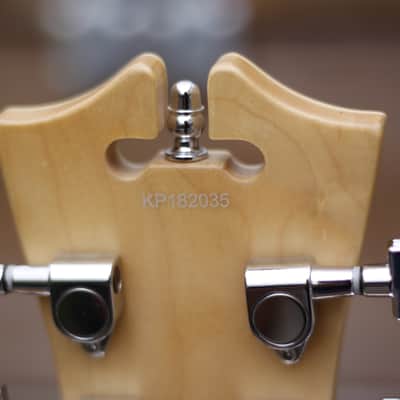 D'Angelico Premier Bedford 2018 - Army Green image 11