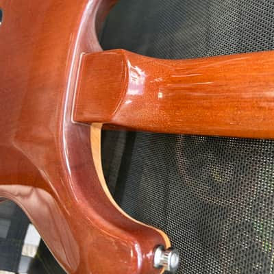 PRS Custom 22 Stoptail 10-Top 1993 - 2001 - Tortoise Shell image 20