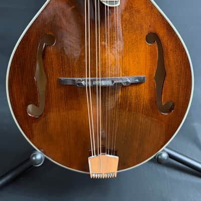 Eastman MD505 A-Style Mandolin Classic Finish w/ Hardshell Case (129) image 2