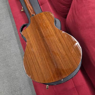 Breedlove Focus Acoustic Electric with Case 2001 - Natural image 17