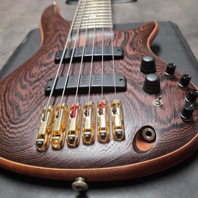 Ibanez SR5006E OL TEAM J. CRAFT Prestige Case Queen 2009-2010 Custom USA Bartolini SR5006 SR 5006 6 Six String Bass Guitar image 1