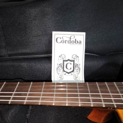 Cordoba Classical Nylon String Acoustic-Electric Guitar – Cedar/Rosewood – Fishman – Gig Bag Model C7-CE CD/IN - Natural image 7