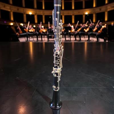 Vintage Orpheus Bb Clarinet Soviet Kyiv - Rare 19__ 588 Factory Engraving Error image 6