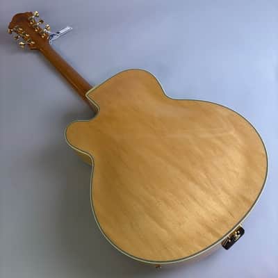 Ibanez PM200 2025 image 6