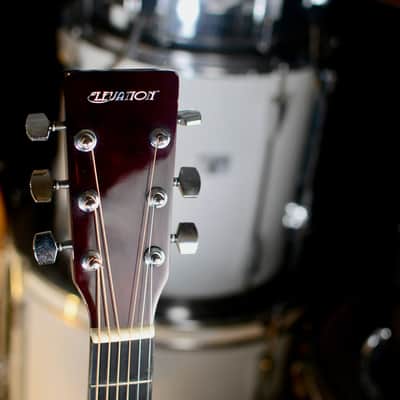 Elevation Acoustic Guitar - W-100-N-A image 5