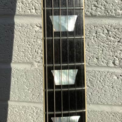 Gibson Adam Jones Signature Les Paul Standard 2022 - Present - Antique Silverburst image 12