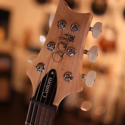 PRS SE Custom 24 - Slate Blue 4729 image 10