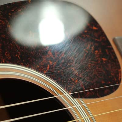 USED Goldtone GT-Dread (040) image 11