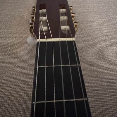 Di Giorgio Master E Classical Acoustic Nylon Guitar 2011 image 7