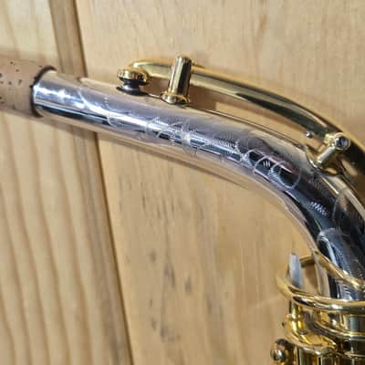 Buescher True Tone Alto Sax 1925 - Silver and 24K Gold Plate image 24