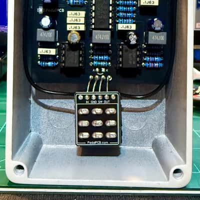 PedalPCB Spirit Box 2026 - Glow in the dark powder coated image 2