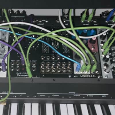 Mutable Instruments Momo Modular Stages 2020 - Black image 3