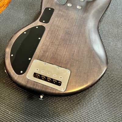 Alien Audio Constellation 5 String Bass image 6