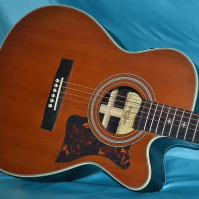 Epiphone EF-500RCCE, eSonic Stereo Outputs, Great for Fingerpicking image 1