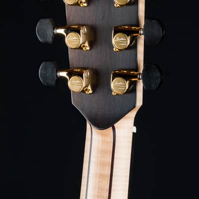 Lowden S-50C Cocobolo and Alpine Spruce with Bevel and Maple Neck NEW image 24