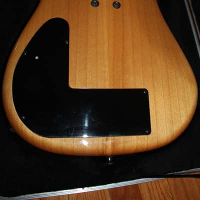 2001 Modulus  Quantum 6 Lightwave Piezo Super Rare One of a Kind EC image 9