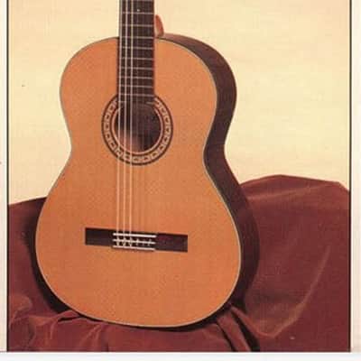 Aria A554 Classical Nylon String Guitar - 1970 - Made in Japan - Brazilian Rosewood image 16