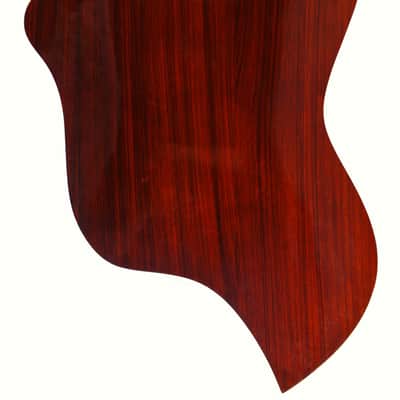 Dieter Hopf 12-string contra guitar 1973 - unique clasical guitar made in Germany - check video! image 6