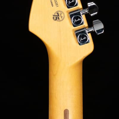 Fender American Professional II Stratocaster Dark Night Rosewood (281) image 6