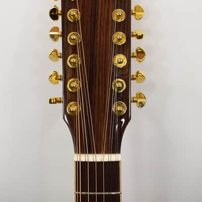 Zager Easy Play ZAD-900CE-12 12-String Acoustic/Electric Guitar image 6