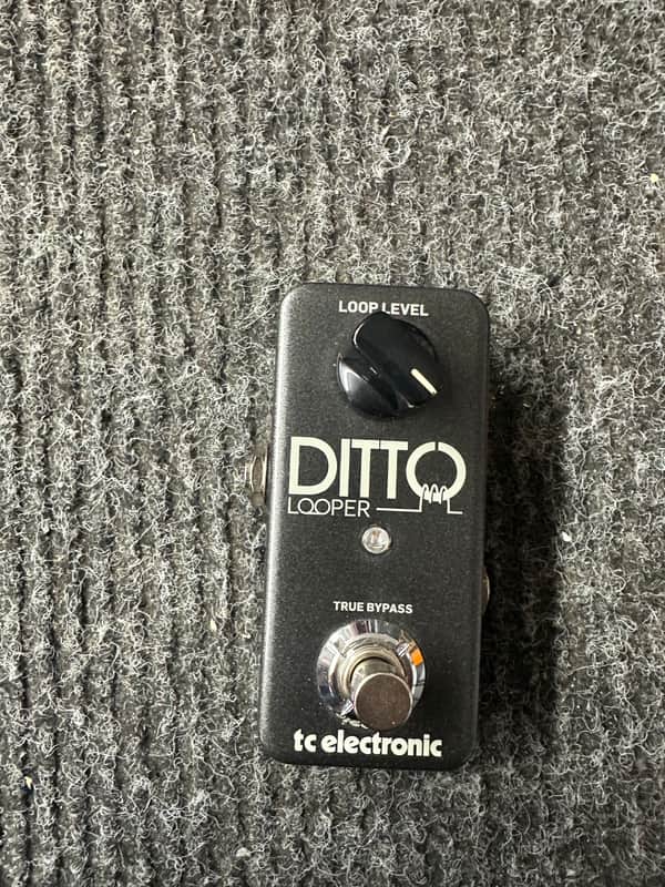 TC Electronic Ditto Looper 2013 - Present - Black image 1