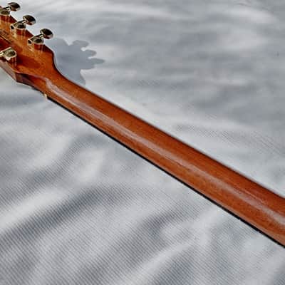 Gibson Chet Atkins SST 1993 image 18