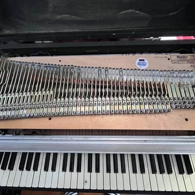 Rhodes Mark II Stage 54-Key Electric Piano 1980 - 1983 - Black Flat Top image 3