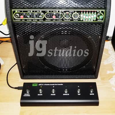 Trace Acoustic TA-300 Open Box... NEW! Very Nice image 1