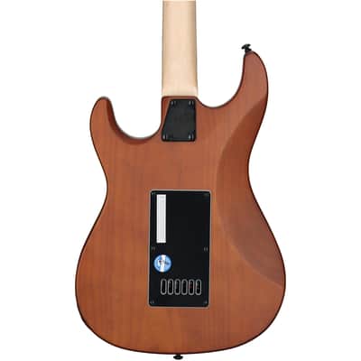 ESP LTD SN-1000 EverTune Electric Guitar, Koa Natural Satin image 5