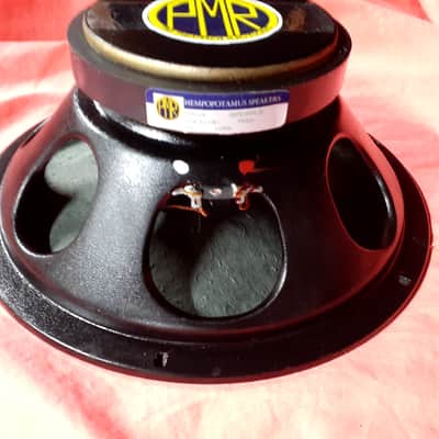 HEMPOPOTAMUS 12" HEMP SPEAKER HEAVY DUTY 2" VOICE COIL G3 HEMP 2022 30HKS-SC3 image 1