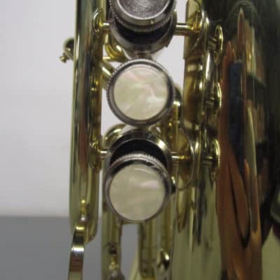 Moz Mellophone with Case image 6
