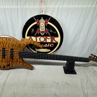 Parker USA FB-5 fb5 Fly 5-string Bass image 1