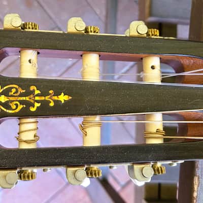 Don Cortez Santana Model 46 AE/Sapele Acoustic Electric Nylon String Cutaway Guitar wGB image 9